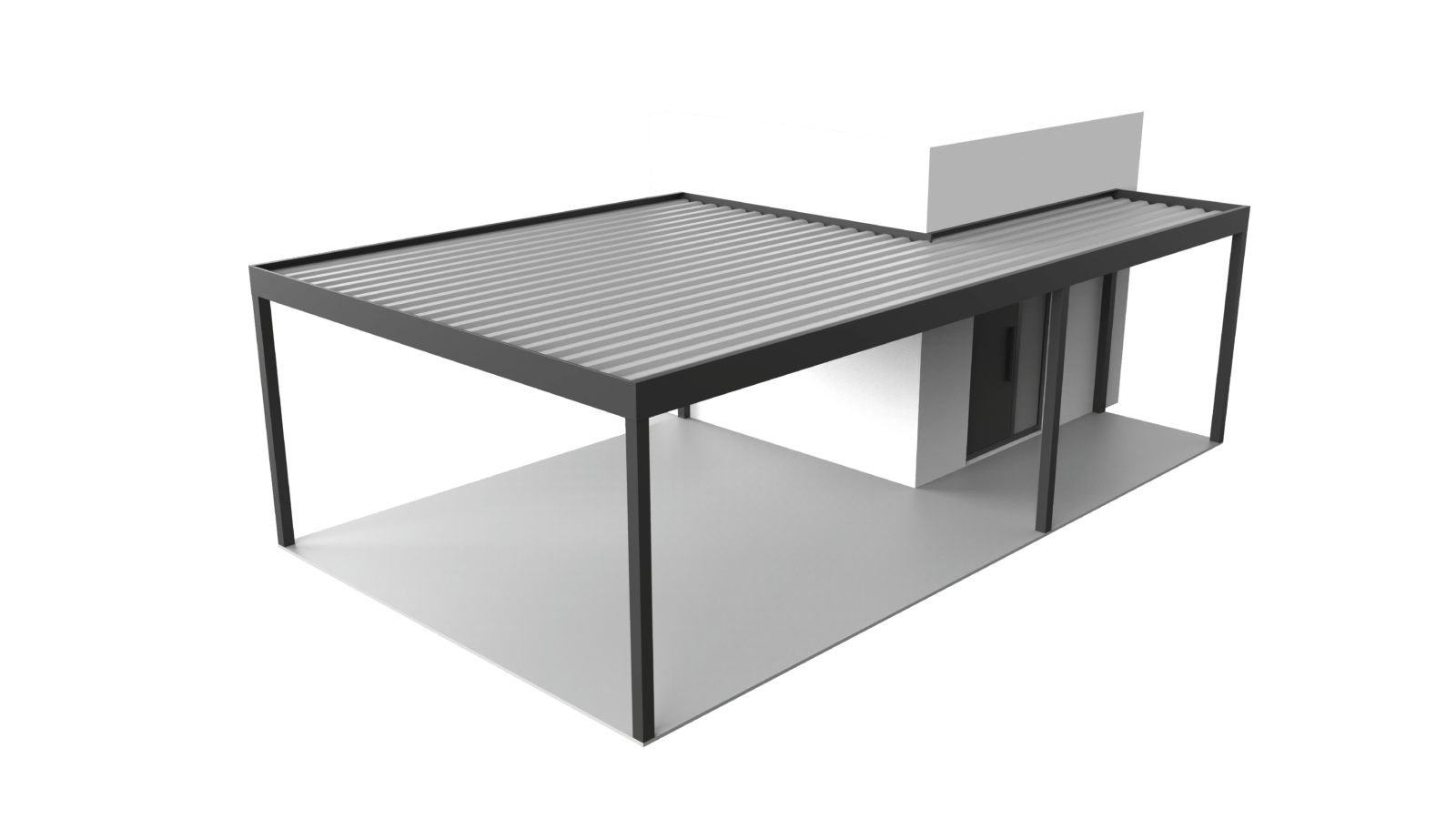 vegetalizare acoperiș montaj carport
